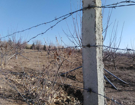 熱鍍鋅刺繩.jpg 熱鍍鋅刺繩.jpg