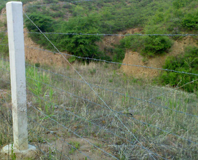 圈地刺繩.jpg 圈地刺繩.jpg