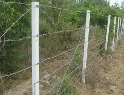 刺繩圍欄.jpg 刺繩圍欄.jpg