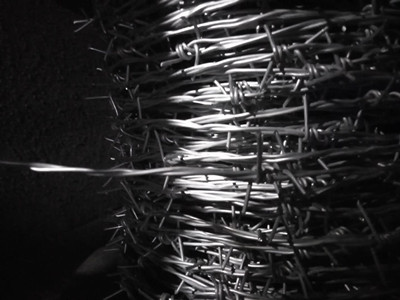 熱鍍鋅刺繩.jpg 熱鍍鋅刺繩.jpg