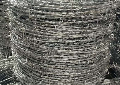 刺鐵絲.jpg 刺鐵絲.jpg