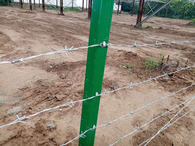 刺繩圍欄.jpg 刺繩圍欄.jpg