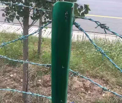 刺鐵絲.jpg 刺鐵絲.jpg