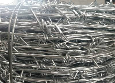 刺鐵絲.jpg 刺鐵絲.jpg