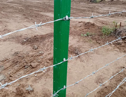 刺鐵絲.jpg 刺鐵絲.jpg