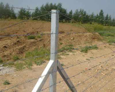 刺鐵絲.jpg 刺鐵絲.jpg