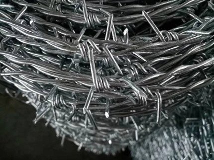 帶刺鋼絲.jpg 帶刺鋼絲.jpg