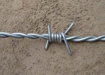 刺鐵絲.jpg 刺鐵絲.jpg