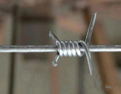 單股.jpg 單股.jpg