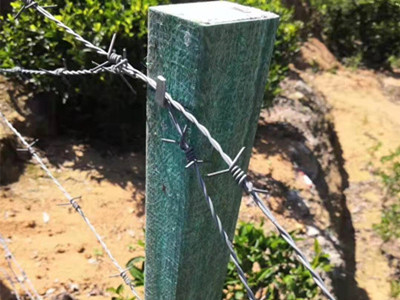 鍍鋅刺鐵絲.jpg 鍍鋅刺鐵絲.jpg