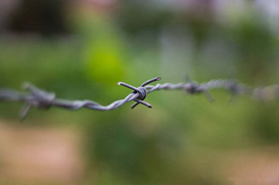 圖片.jpg 圖片.jpg