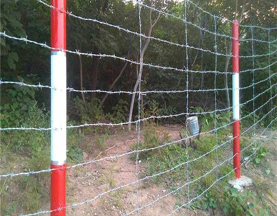 刺鐵絲網.jpg 刺鐵絲網.jpg