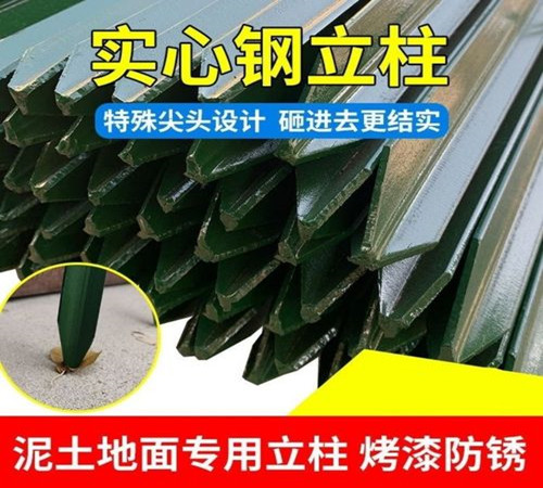 刺絲立柱.jpg 刺絲立柱.jpg